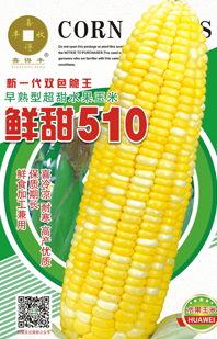 鮮甜510
